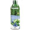 SUCCO ALOE VERA E MIRTILLO BIO - 1L