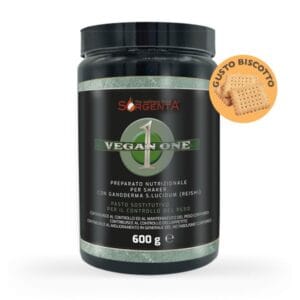 VEGAN ONE 600GR - GUSTO BISCOTTO