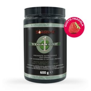 VEGAN ONE 600GR - GUSTO FRAGOLA