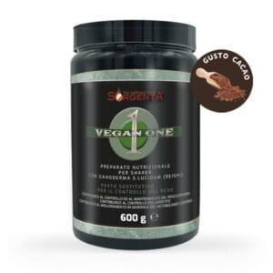 VEGAN ONE 600GR - GUSTO CACAO